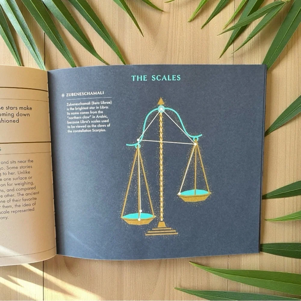 Seeing Stars: A Complete Guide to the 88 Constellations | Phaidon | 2018